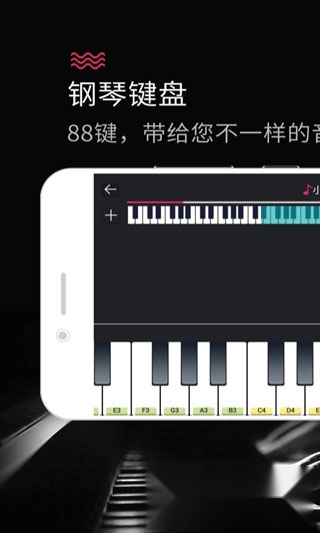 模拟钢琴键盘正版图4