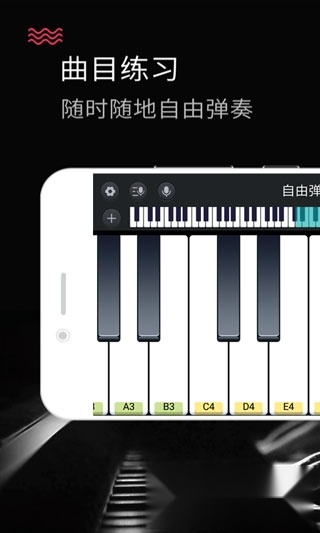 模拟钢琴键盘正版图3