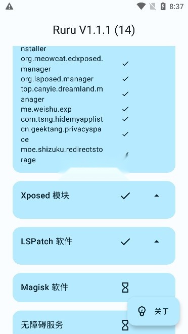 ruru检测器最新版