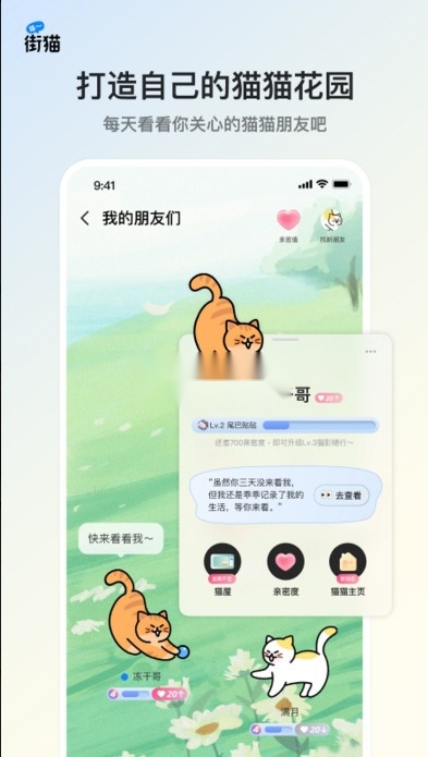 街猫最新版