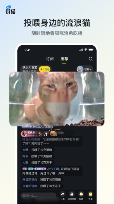 街猫最新版