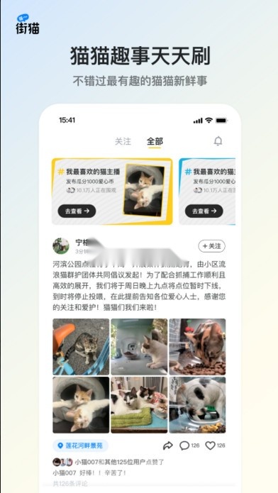街猫最新版