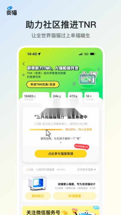 街猫最新版