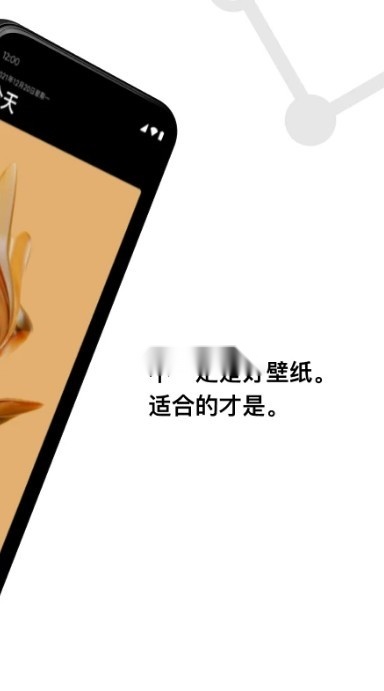 cuto壁纸