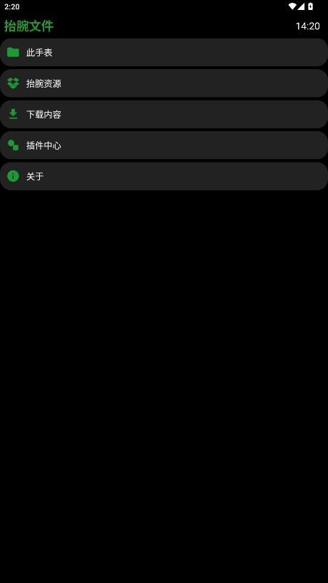 抬腕文件手表版
