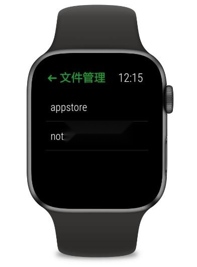 抬腕文件手表版