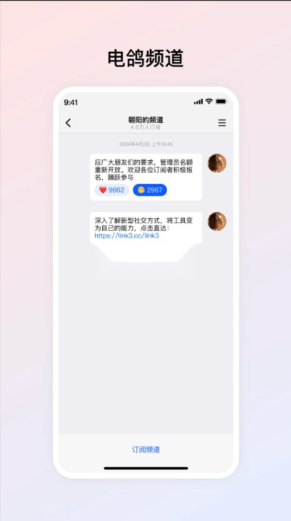 电鸽安装(3)