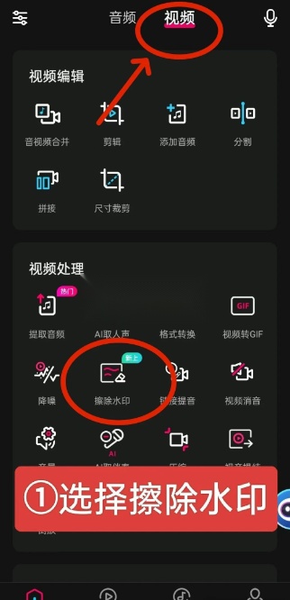 音编美声(5)