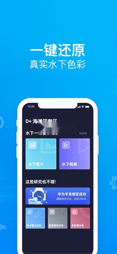 Dive+潜水(4)