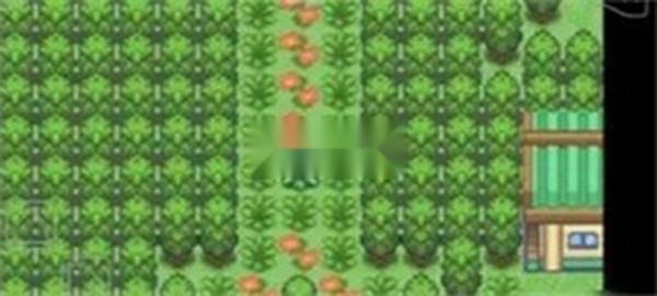 口袋妖怪究极绿宝石4小智版(7)