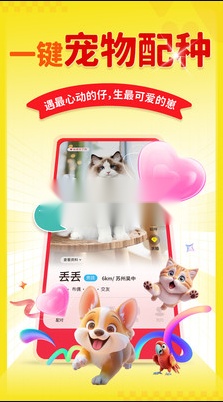 宠源源安卓直装版图4