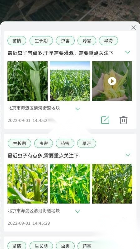 喜丰收小店手机最新版图4