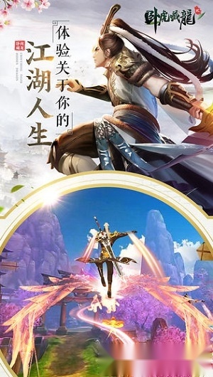 卧虎藏龙贰安卓版图2