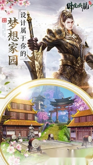 卧虎藏龙贰安卓版图3