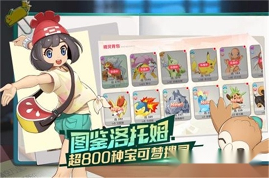 口袋觉醒