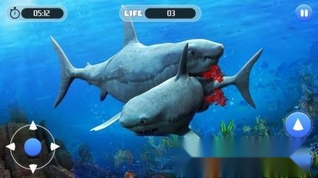白鲨攻击任务3D游戏(3)