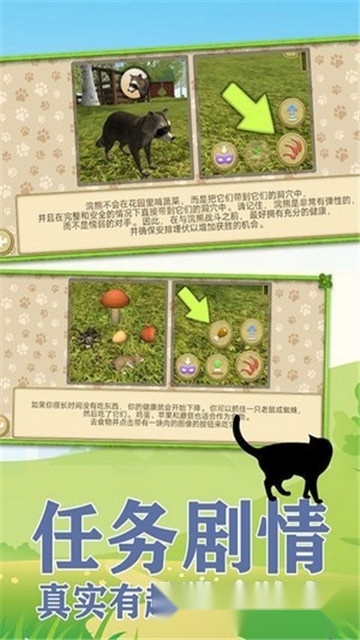 我是一只喵