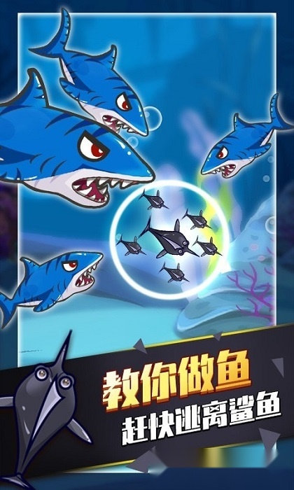 海底动物园(3)