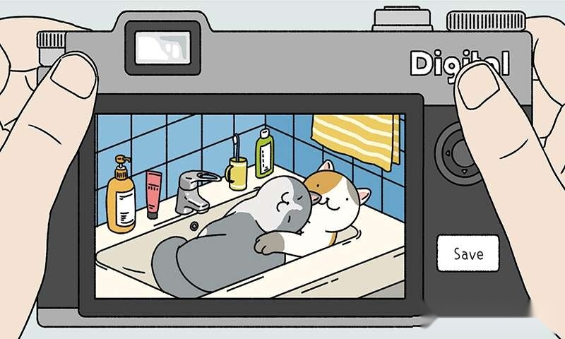 一起来养猫手机版图4