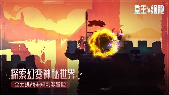 重生细胞最新版(4)