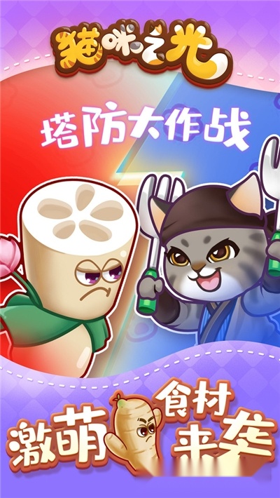 猫咪之光