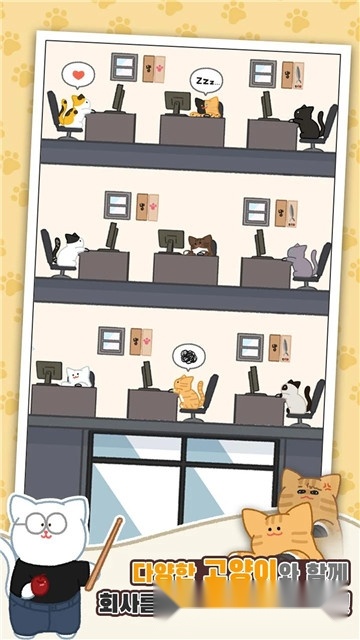 懒猫公司大亨