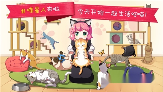 猫猫咖啡屋(3)
