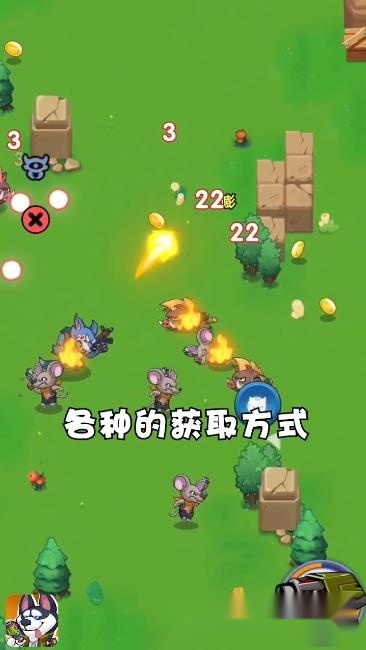 丛林小队