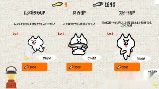 猫咪与昆虫(1)