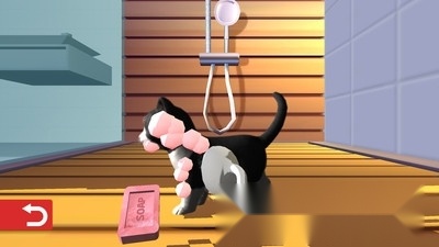 我的收养猫咪(4)