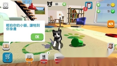 我的收养猫咪(3)