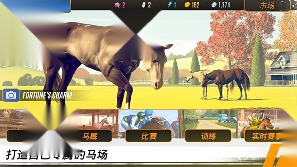 家族传奇马匹养成竞技(1)