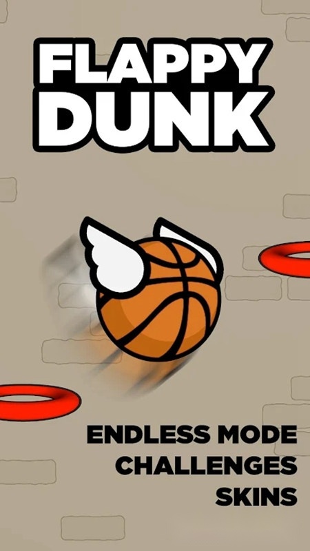 Fly Dunk轻浮篮球正版