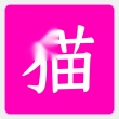 狸猫云搜索 v3.7.0