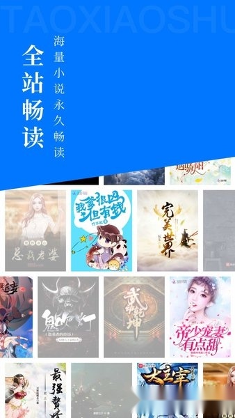 淘小说免费版图3