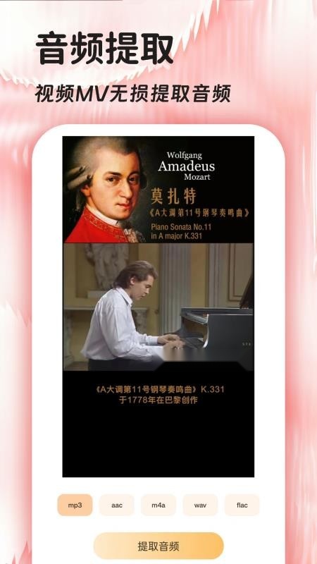 音频提取器(1)