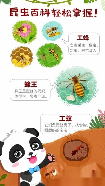 宝宝巴士奇妙昆虫世界小游戏(MarvelousInsects)图3