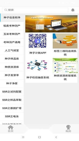 知种