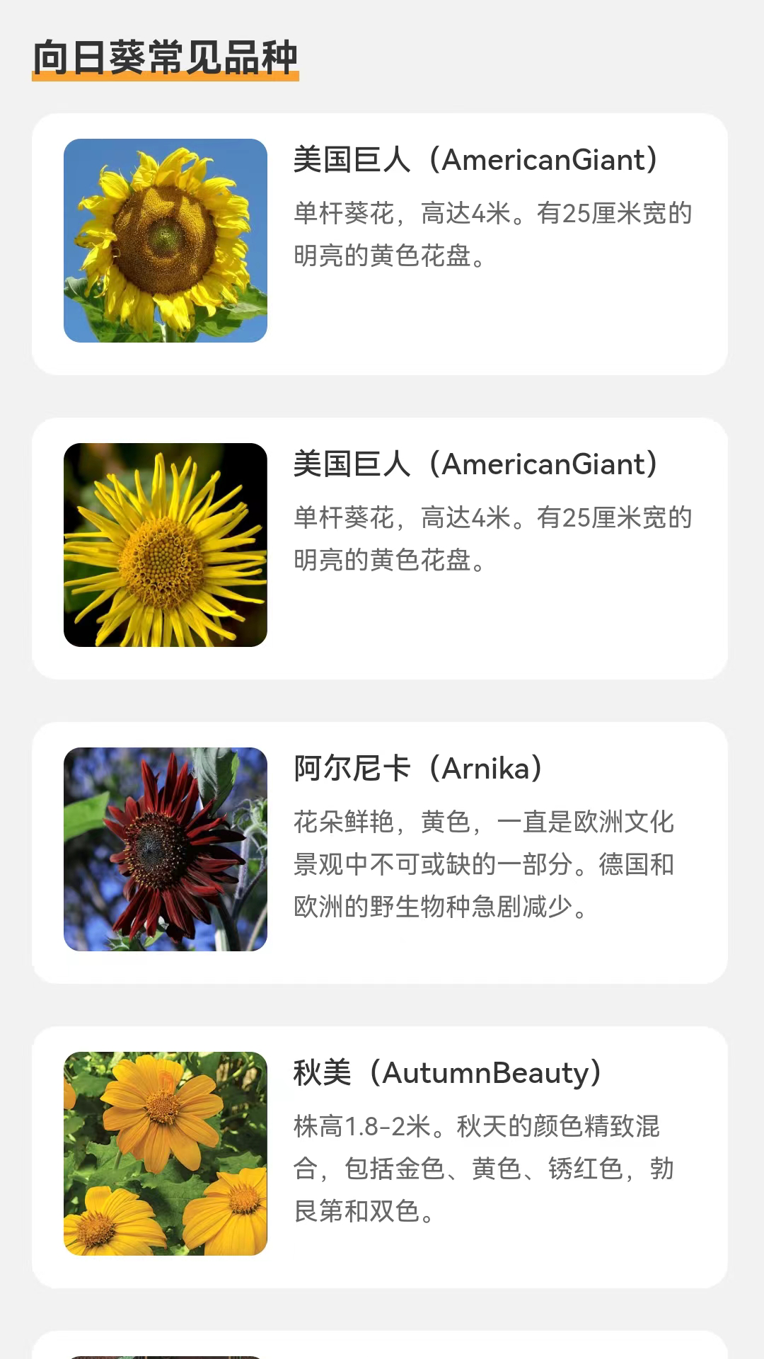 向阳流量最新版图1