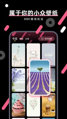 桔子壁纸最新版图3