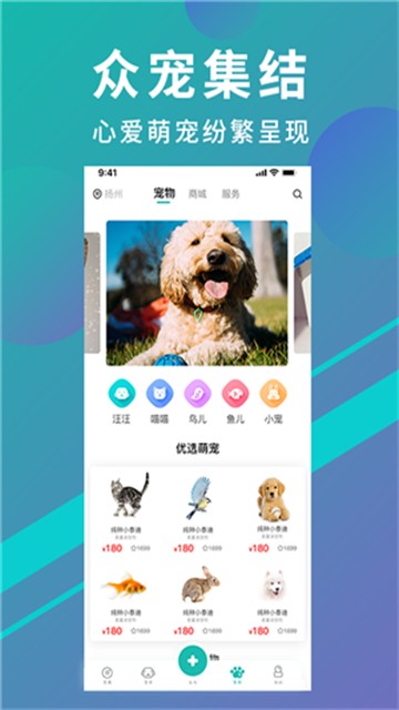 宠都最新版图2