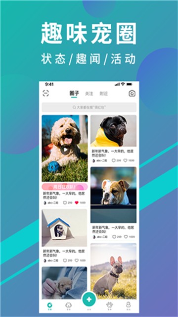 宠都最新版图3