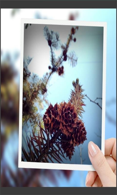 趣拍玩图照相机手机版图1