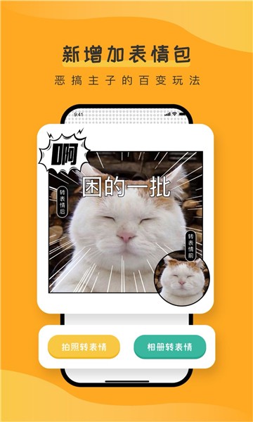 宠胖胖直装版图3