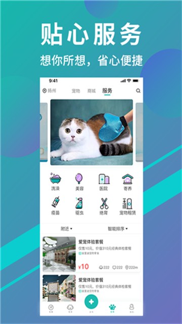 宠都最新版图1