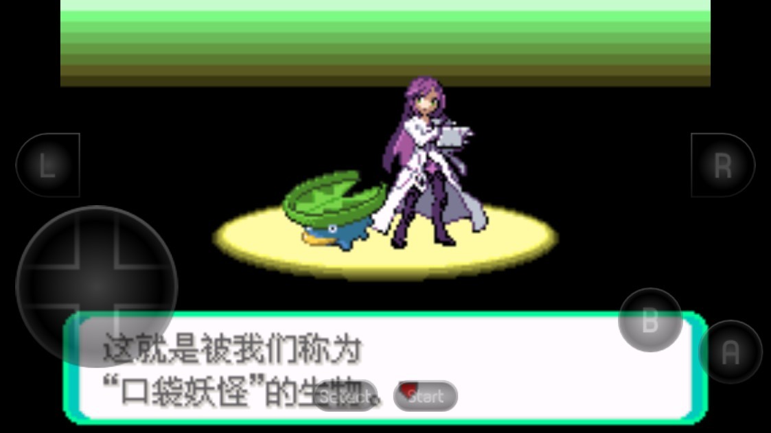 口袋妖怪黑琥珀手游无广告版(3)