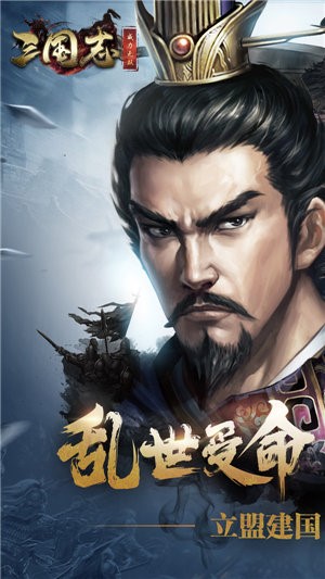 三国志威力无双手机最新版图3