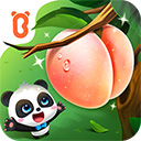 宝宝爱水果直装游戏版