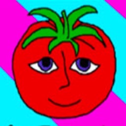 番茄先生安卓官方版