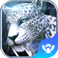 猎魔圣魂游戏正版